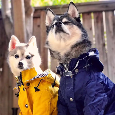 Yellow Hooded Raincoat for Dogs in Multiple Sizes