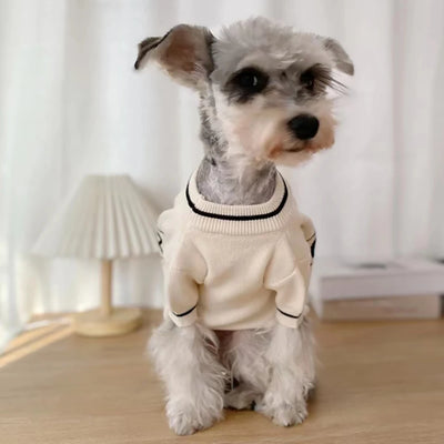 Creamy White Luxury Dog Sweater for Small Breeds