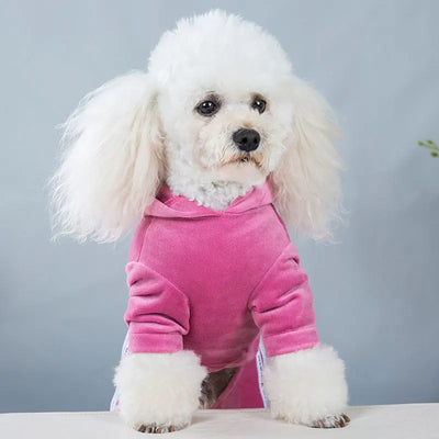 Spring Velvet Pet Jumpsuit for Small Dogs