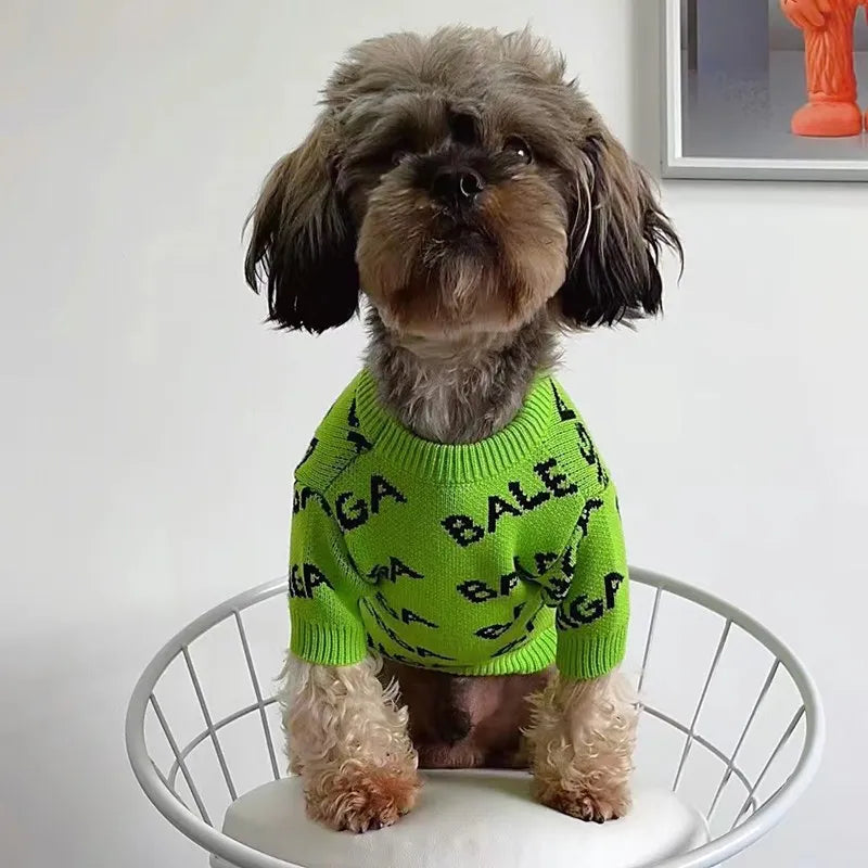 Letter Knitting Sweater for Stylish Small Dogs
